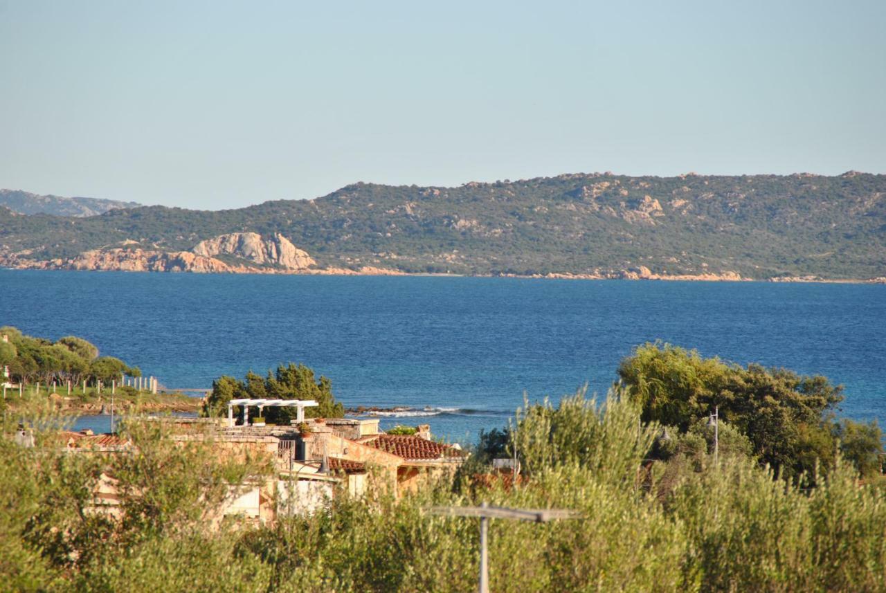 Sardegna Pittulongu * Ольбия